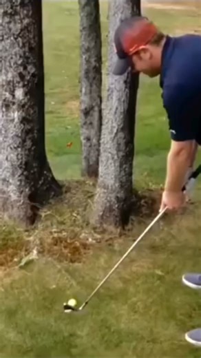 You heard it here first! Grab your chicken alfredo pizza with a handcrafted base for only a $12 pick-up. The Hut has you covered! 🍕 | Pizza Hut