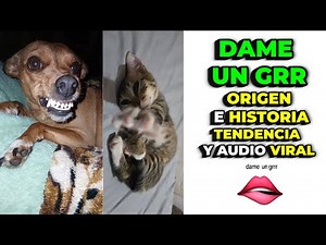 GIVE ME A GRR ORIGIN and the Complete History of the Viral Song Trend and Audio