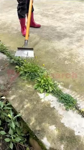 🔥 Get Cleaning Power Like Never Before! 🔥 Meet the Multifunctional Deep Cleaning Flat Shovel — your go-to tool for scraping away stubborn dirt, grease, paint, stickers & more! Perfect for kitchen, bathroom, garage, tiles, grills, floors and every tough surface. 🧽💪 ✨ Why You’ll Love It: ✔ Multi-use flat shovel scraper ✔ Heavy-duty & durable design ✔ Easy-grip handle for comfortable cleaning ✔ Ideal for home & professional use | Woetyrant