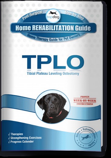 TPLO Surgery Recovery Guide (Post Surgery Home Rehab) | TopDog Health