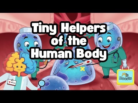 Human Body: Cells | Building Blocks of You! 🧬 #minibrainboosts