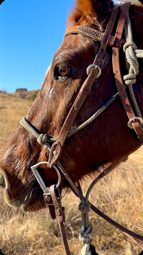 Booboo Stewart on Instagram: "🦅"