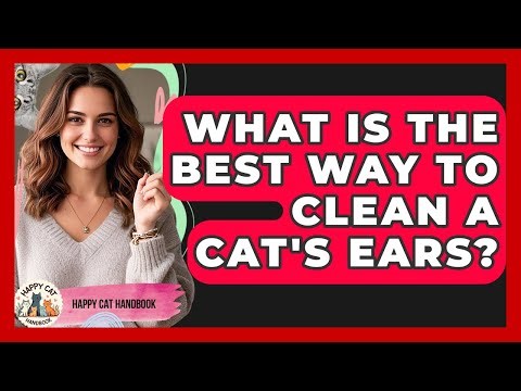 What Is The Best Way To Clean A Cat's Ears? - Happy Cat Handbook