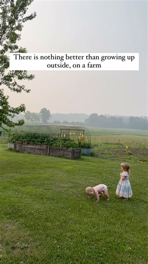 I love it when they’re being so silly that their legs don’t work 🤣 | Rusty B Acres