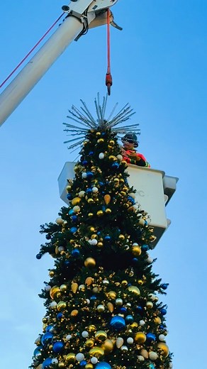 Winnipeg’s Tallest Christmas Tree is Up #Christmas #winnipeg | Ferdinand Cabatbat Ramos