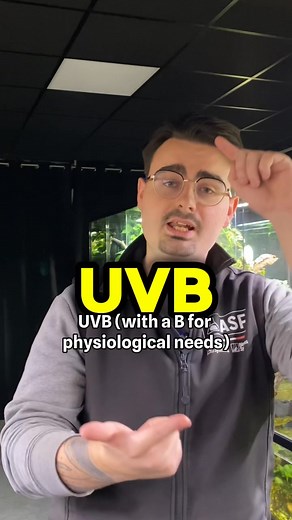 🇬🇧 ☀️ UV rays: an essential element for your animals! 🦎🐦 We often tell you this: UV rays are essential for your animals, whether they are reptiles, birds, etc. But why exactly? 🤔 The first thing to understand is that not all UV rays are good for our animals. They are divided into 3 main categories: 🔹 UVC — C for Carcinogenic ➡️ Dangerous and deadly, they destroy cells. 🔹 UVB — B for Physiological Needs ➡️ Essential for the synthesis of vitamin D3, which is crucial for calcium metabolism a