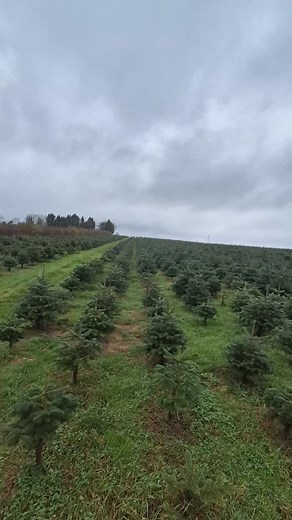 23 reactions · 4 comments | ✨ It’s (almost) the most wonderful time...