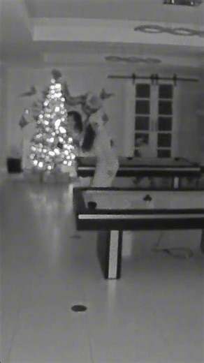 THEY STOLE ALL OUR CHRISTMAS PRESENTS! #shorts