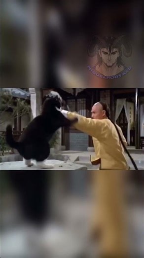 MICHI KARATEKA #doblaje #humor