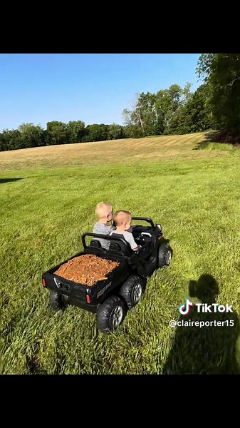 Boys Clean Up Grinded Tree Stump