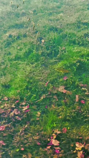 Thanks For The Love And Support So Far Let’s go even harder OUT NOW #fyp #fyppppppppppppppppppppppp #viralvideos #goviral