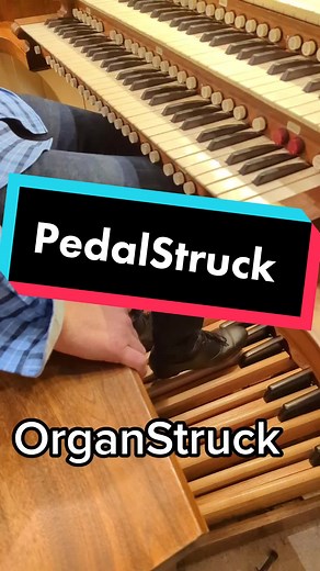 Feeling the Burn: Exploring Lactic Acid in My Legs