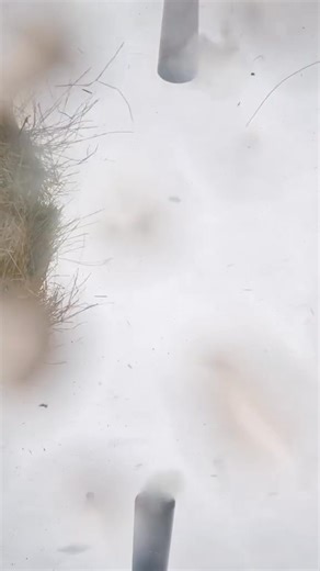 2.6M views · 10K reactions | Colliding Flying Watermelons In Slow Motion! #Watermelon #slowmo #challenge #reels #fun | How Ridiculous | Facebook