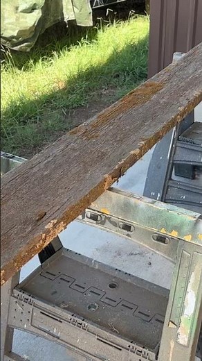 Reviving Weathered Wood: Cleaning Techniques for Your DIY Project | YouTube Short