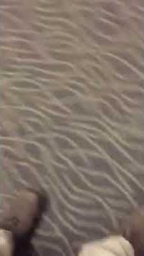 Fire alarm test( Siemens FS-250 )