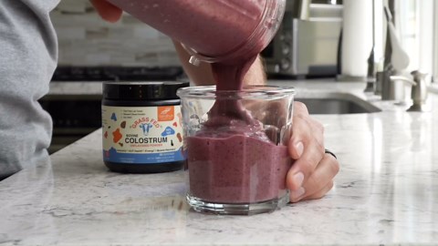 Sandhu's Grass Fed Bovine Colostrum Powder for Humans, Adults | 65 Servings (Pack of 1) Cows Supplement | High IgG for Gut Health | Immunity & Muscle Recovery Support | Unflavored | for Men & Women