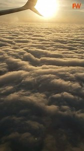 187 reactions · 21 shares | Interesting facts you might not know. . Share with your friends. Follow us @facts.wiki for more. . . . Tags:- Interesting facts Daily facts Real facts Knowledge General knowledge, amazing facts | Facts Wiki | Facebook