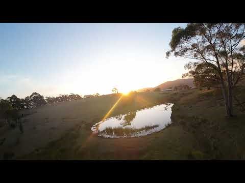 Golden Sunset Drone Flight Over the Farm – Checking on the Cows!