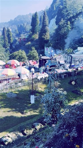 Trip Canvas 📸 Travel Memories on Instagram: "Beauty begins on the way🏔️❤️ #tripcanvas #darjeeling #coupletravel #mountain #travelmemories"