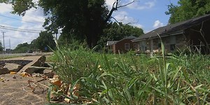 Woman accused of drawing gun on neighbor after his dog poops in her yard