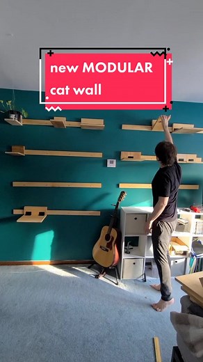 DIY Modular Cat Wall Climbing System