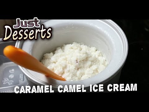 Caramel Camel Milk Ice Cream