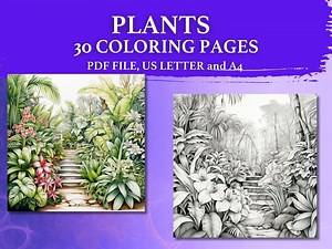 30 PLANTS Digital Coloring Pages, Plants Coloring Book, PDF File, US Letter and A4, Grayscale Coloring Pages - Etsy Canada