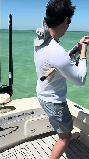 Epic Lemon Shark Fishing Adventure | Powerful Sharks and Drag Screaming Runs!