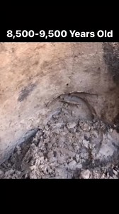 8500–9500 years old and still razor sharp. 🤯 Found this Kirk Stemmed point while back digging on private property with permission here in Florida. These early Archaic points were used by some of the first people to move through the Southeast after the last Ice Age. Holding something this old makes you realize how deep Florida’s human history really runs. #KirkStemmed #FloridaArtifacts #ArrowheadHunting #earlyarchaic | Every Day I'm Shoveling