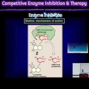 Competitive Enzyme Inhibition & Therapy @Metabolism Made Easy