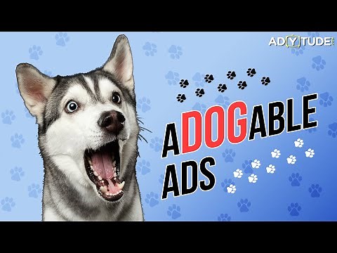 Dogs in Ads I Adorable and Funny Dog Commercials I Adytude.com