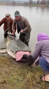 83K views · 255 reactions | totul e sub control… . . . Acest conținut este destinat exclusiv divertismentului. Imagini generate cu ajutorul inteligentei artificiale. Pentru activități care necesită îndrumare de specialitate, consultați profesioniști calificați. | Viral Studio | Facebook