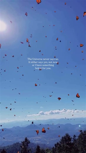 Empowering Quotes for a Positive Mindset