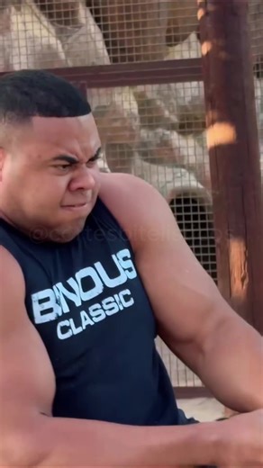 Bitelo vs Ligre: A Natural Comparison