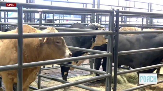 Oklahoma City hosts final rodeo at Jim Norick Arena this weekend