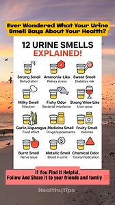Ever wondered what your urine smell says about your health? 🚨 Here's a quick guide to 12 common urine odors and what they might indicate: Pay attention to these signs and consult your healthcare provider if you notice unusual odors. Your body is telling you something—listen carefully! #healthtips #UrineSmell #wellness #Healthcare #HealthAwareness #healthiswealth #fblifestyle | Healthy Tips