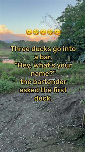 Ducks are enjoying their puddle 🤣🤣🤣#DailyJokes #jokesonyou #joketime #jokesdaily #dailylaughs #laughter #fbreelsvideo #reelsviral #viralreels23 #fbreels23 #fbreelsph #fbreels #reelsfb #reelit #reelsusa #reelsuk #reelseu #reelsau #funnyreels #funnypost #highlights #everyone #followus #followers #funnyjokes #fypシ゚viralシ #funnyvideo #fbpost #fbviral #festivevibes | Rise and Shine