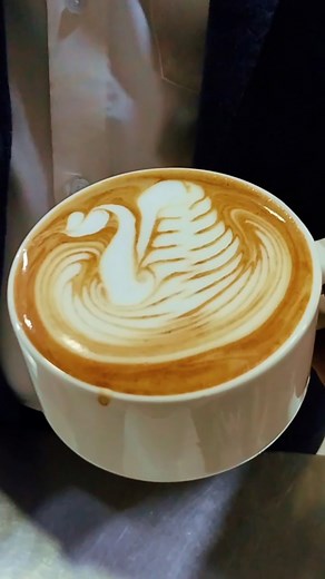 how to make Duck 🦆 design latte art practice #coffeeart #coffee #barista #latte