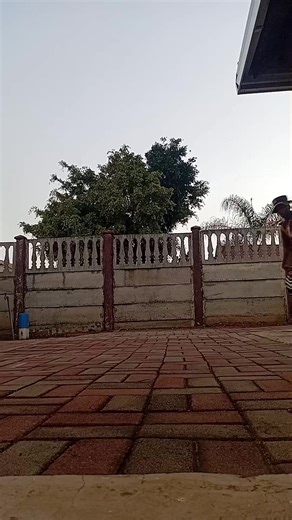 Epic Boxing Dance Moves That Will Leave You Speechless