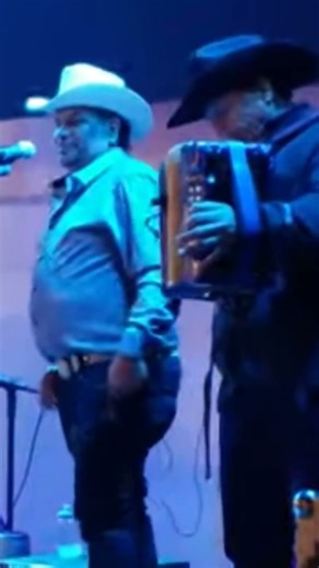 Tigrillo Palma #losjilguerosdechoix