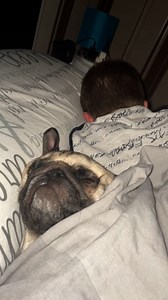 Snoring like he pays the bills! 😂🛌 | Furry Tails