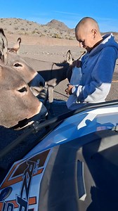 The mrs loves this | Jeff Blizzard