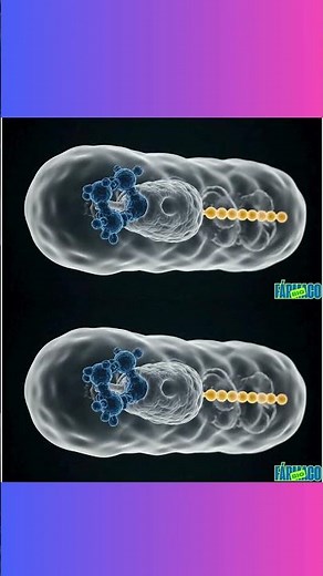 Tetraciclinas #Tetraciclinas #Antibióticos #Farmacologia