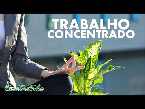 TRABALHO CONCENTRADO: Musica de Fundo para Trabalhar