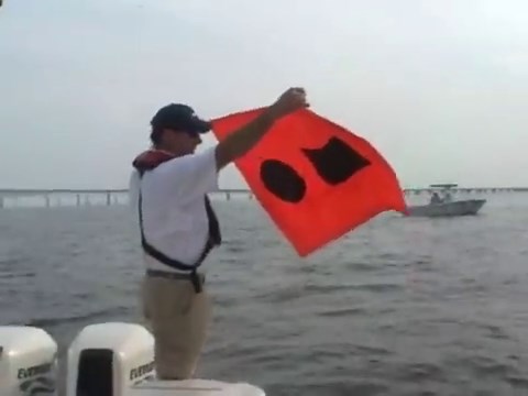 Flares and Distress Signals