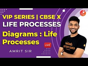 Life Processes: Important Diagrams L1 | CBSE Class 10 Science (Biology) Chapter 6 NCERT | Vedantu