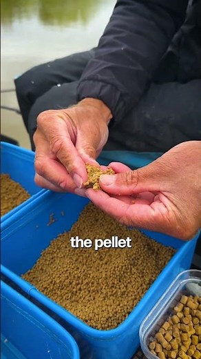 This trick catches the bigger carp