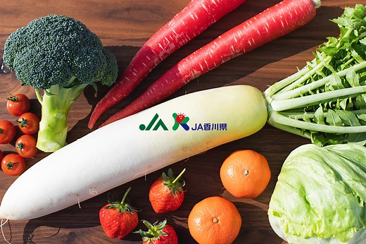 野菜：ロメインレタス | JA香川県 - 香川県農業協同組合