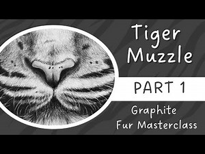 How to Draw Realistic Tiger Muzzle Fur - Graphite Masterclass Part 1