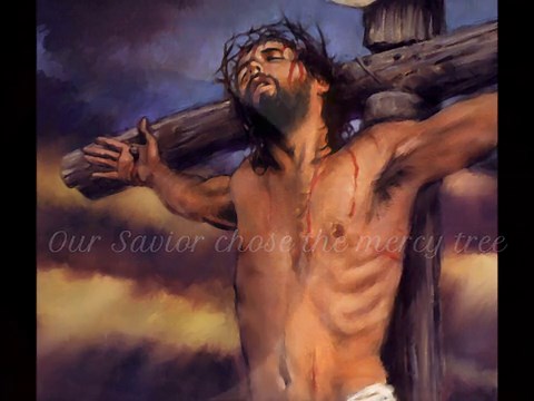 Lacey Sturm - Mercy Tree (lyrics)